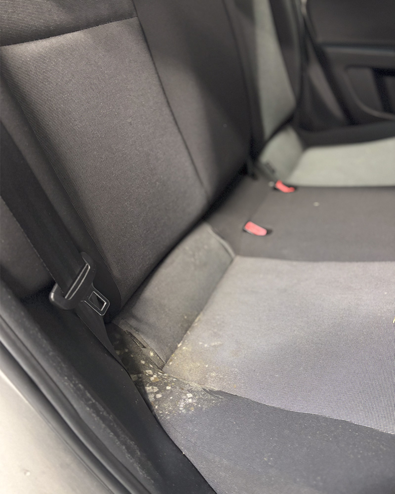 Rimozione muffa e sanificazione interni Volkswagen UP 